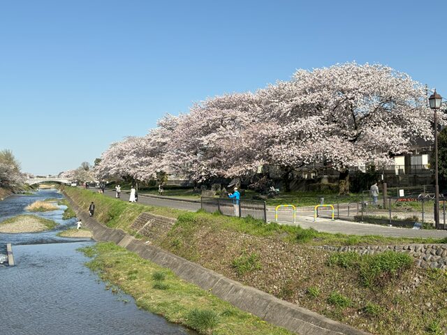 金土日の教室見学・相談につきまして